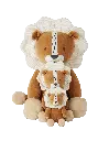 3197.webp