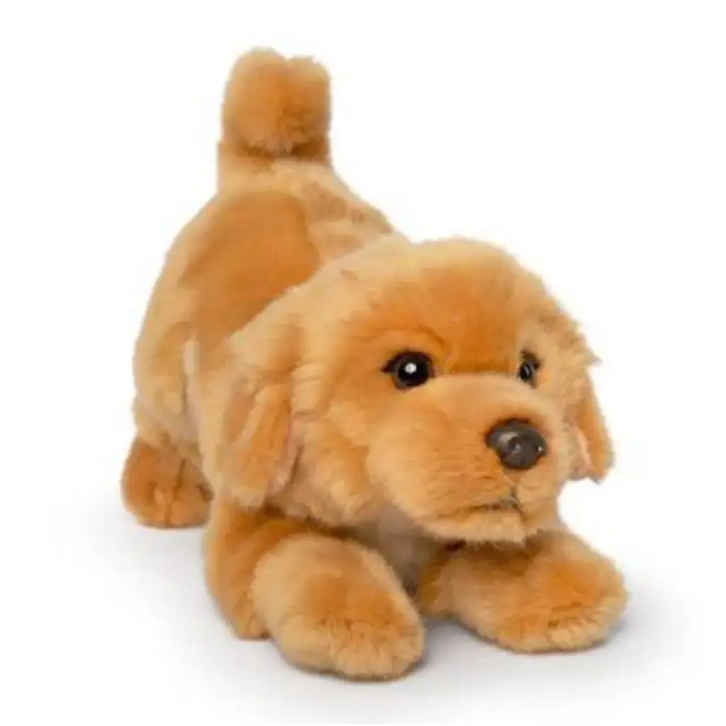 Peluche Golden Retriever 25 cm | Living Nature
