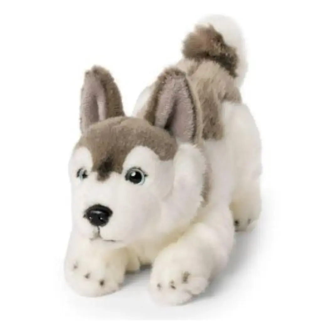 Peluche Husky 23 cm | Living Nature