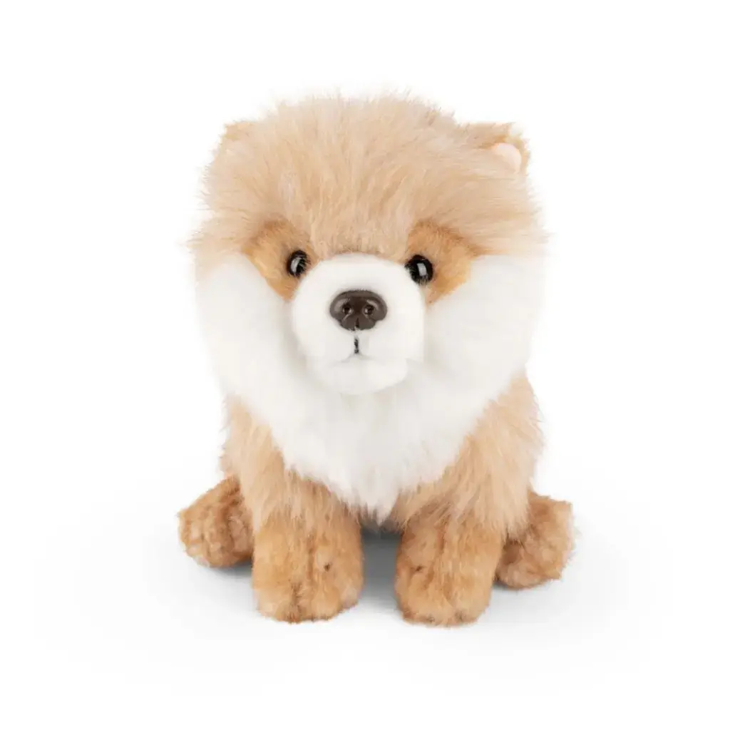 Peluche loulou de Poméranie | Living Nature