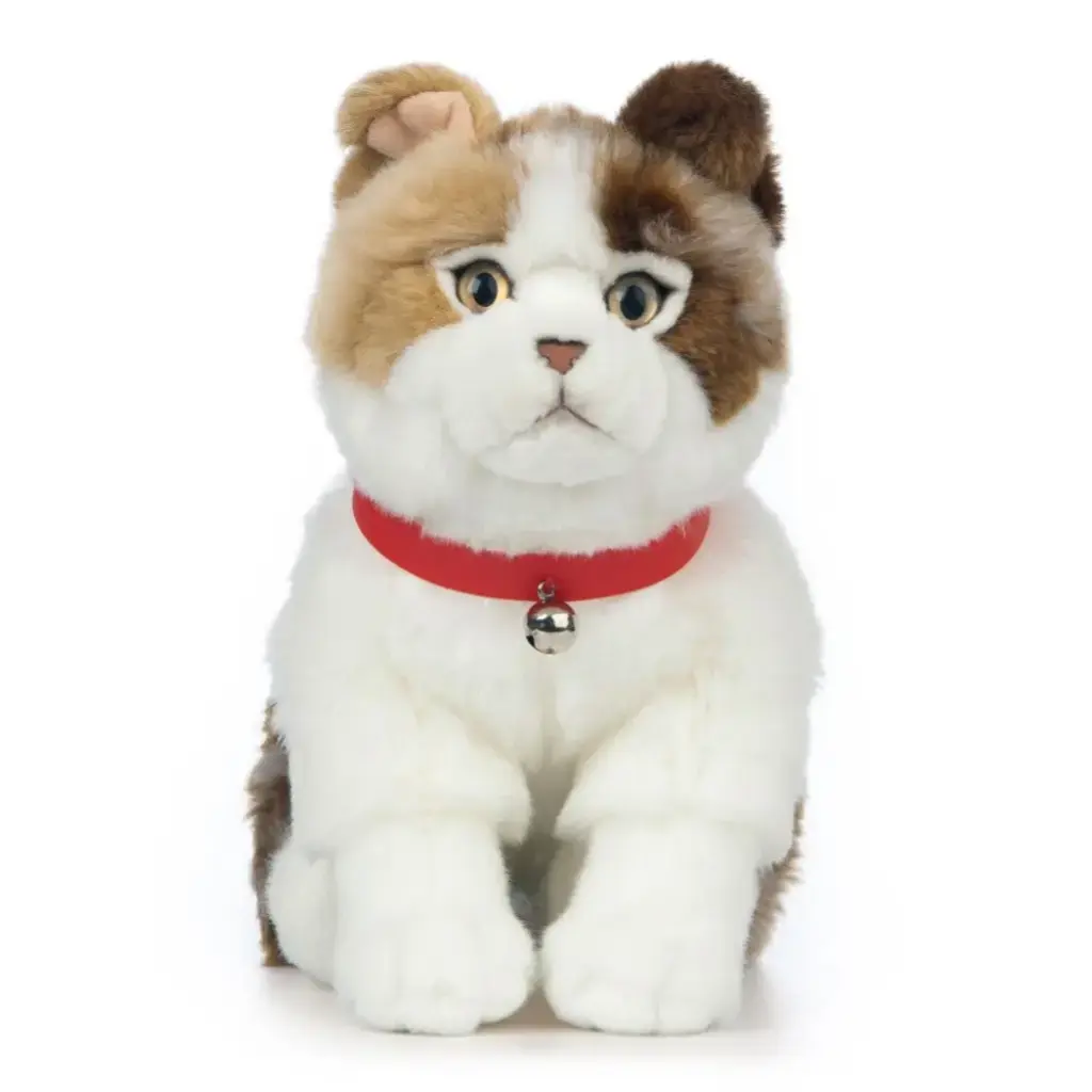 Peluche chat Écossais Scottish Fold | Living Nature