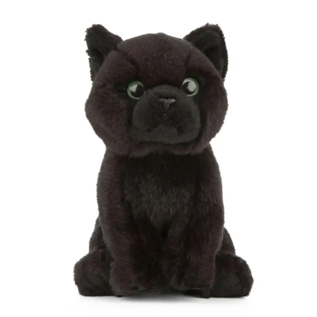 Peluche chat Bombay | Living Nature