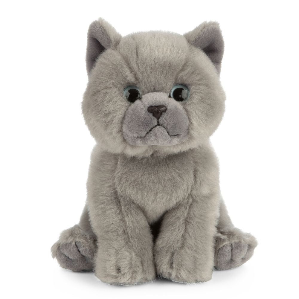 Peluche chat British Shorthair | Living Nature
