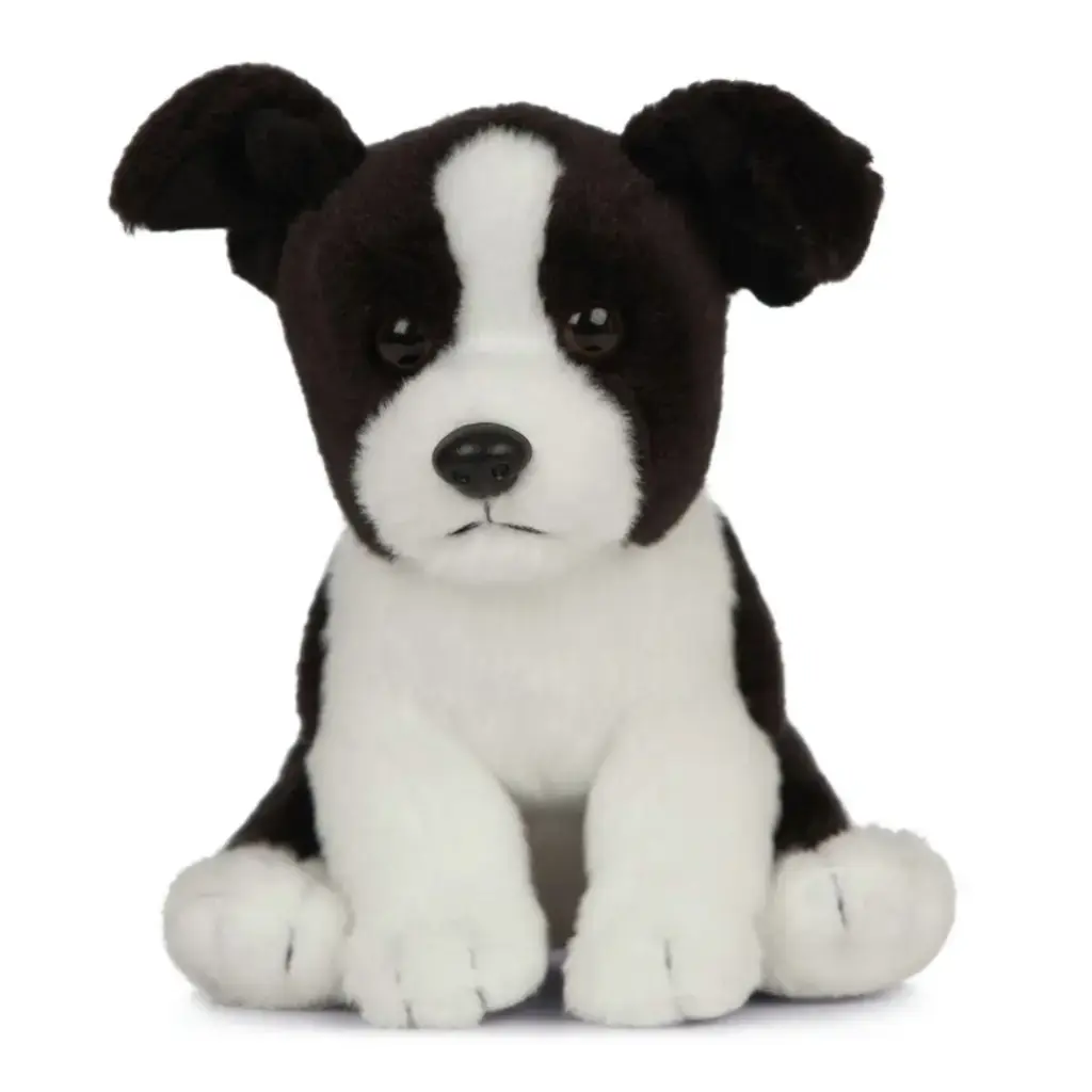 Peluche Border Collie 21 cm | Living Nature