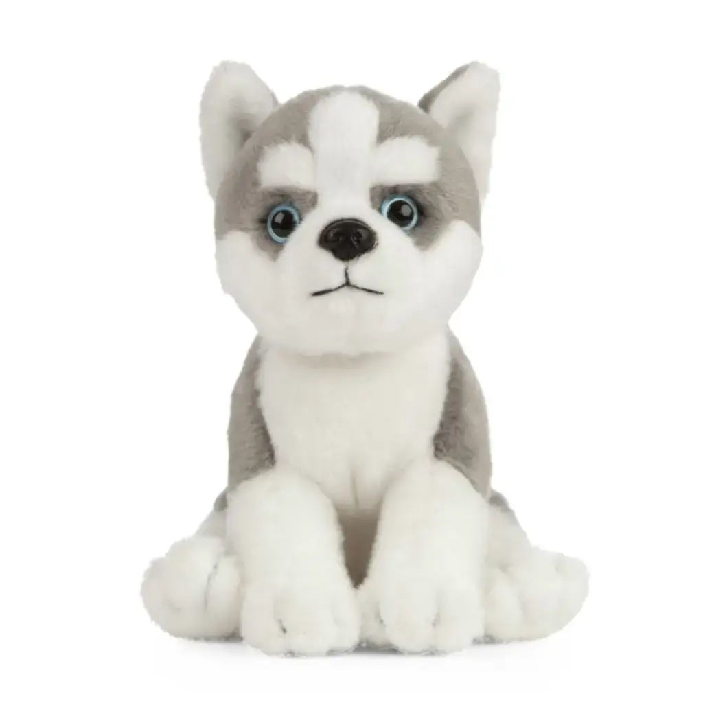 Peluche chien Husky 23 cm | Living Nature