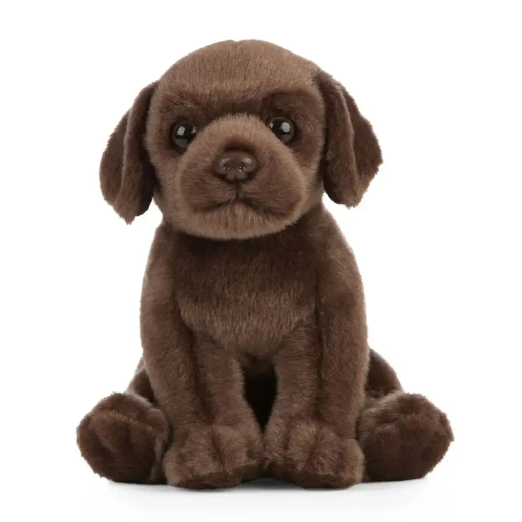 Peluche Labrador brun 18 cm | Living Nature