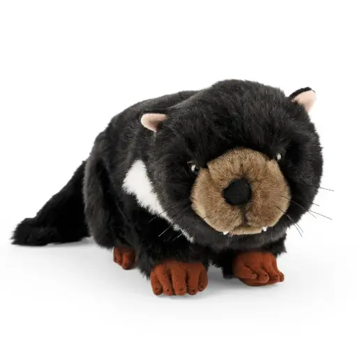 [AN691] Peluche Diable de Tasmanie | Living Nature