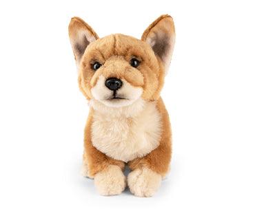 [AN645] Peluche Dorgi | Living Nature