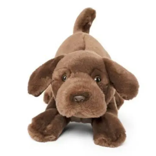 [AN704] Peluche Labrador brun 25 cm | Living Nature