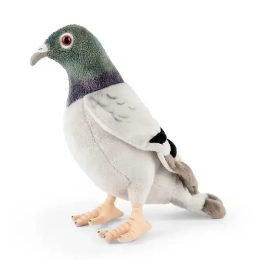 [AN664] Peluche Pigeon | Living Nature