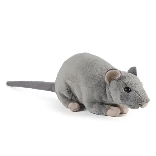 [AN348] Peluche Rat | Living Nature