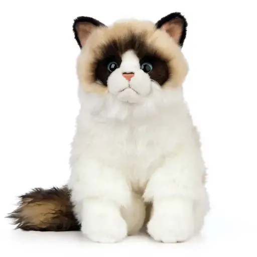 [AN567] Peluche chat Ragdoll | Living Nature