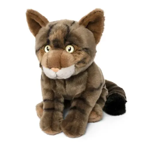 [AN725] Peluche chat sauvage Écossais | Living Nature