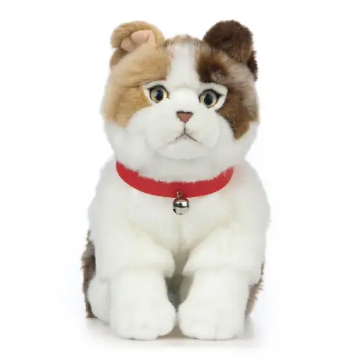 [AN568] Peluche chat Écossais Scottish Fold | Living Nature