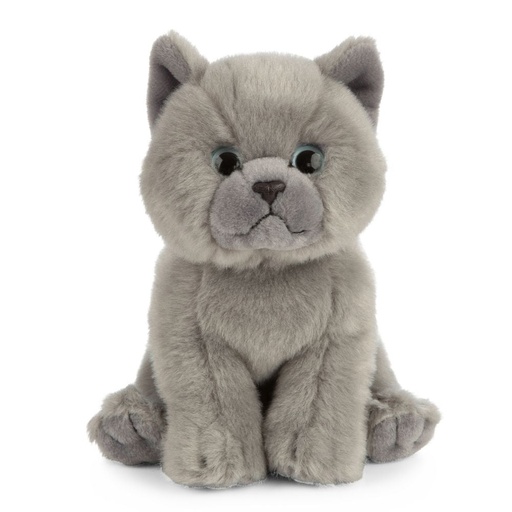 [AN447] Peluche chat British Shorthair | Living Nature