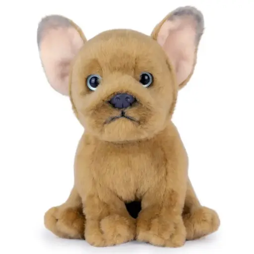 [AN778] Peluche Bouledogue Français fauve | Living Nature