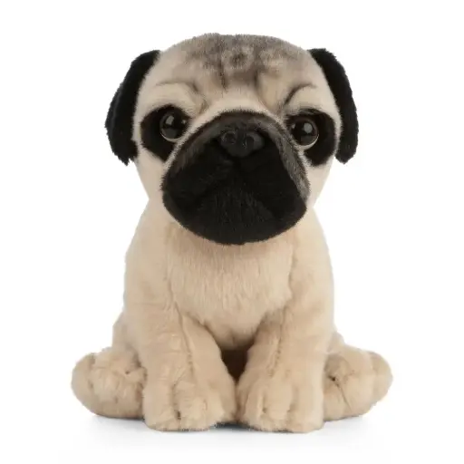 [AN439] Peluche Carlin 18 cm | Living Nature